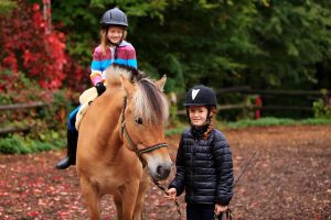 Reitpädagogik Wien Kinder Angebote - Pferdeprofi: Reitschule für Kinder